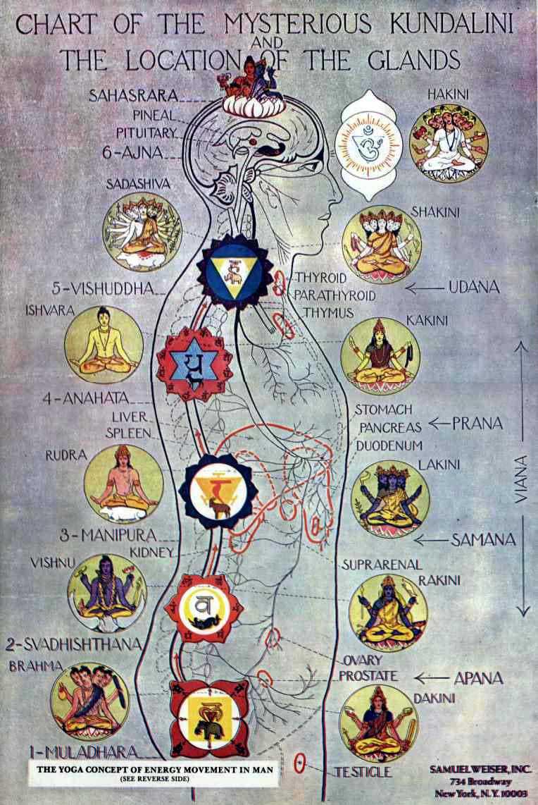 GURUJI.IT : La Via delle Arti Marziali